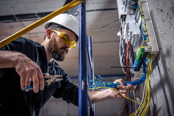 Best Electric Panel Repair  in Springville, IA