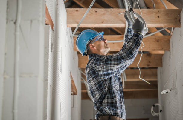 Best Electrical Upgrades for Homes  in Springville, IA